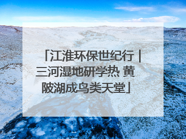 江淮环保世纪行｜三河湿地研学热 黄陂湖成鸟类天堂